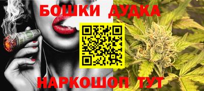тгк Новокубанск