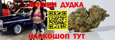 прущие грибы Новодвинск