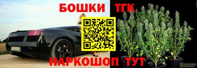 тгк Новокубанск
