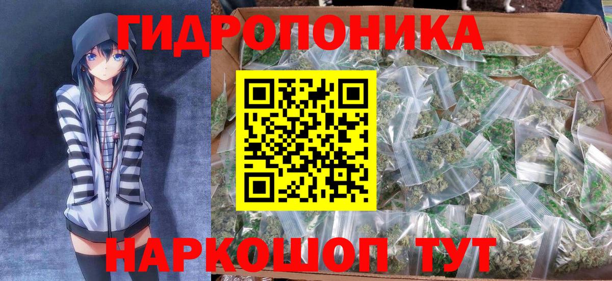 Шишки марихуана White Widow  Шишки марихуана Bruce Banner  Вход с VPN  Бошки марихуана индика  Тосно 